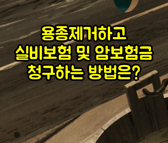 용종 제거하고 실비보험 및 암보험금 청구 방법