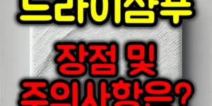 드라이 샴푸 장점 및 주의사항