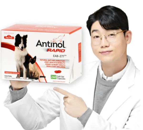 바이오라인 안티놀 래피드 관절 영양제 리뷰 및 후기