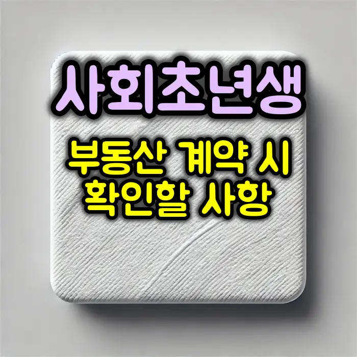 사회초년생이 부동산 계약 시 확인해야 하는 사항