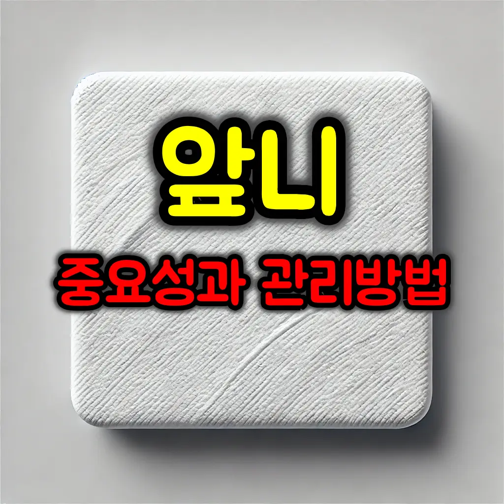 앞니 중요성과 관리방법