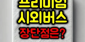 프리미엄 시외버스 장단점