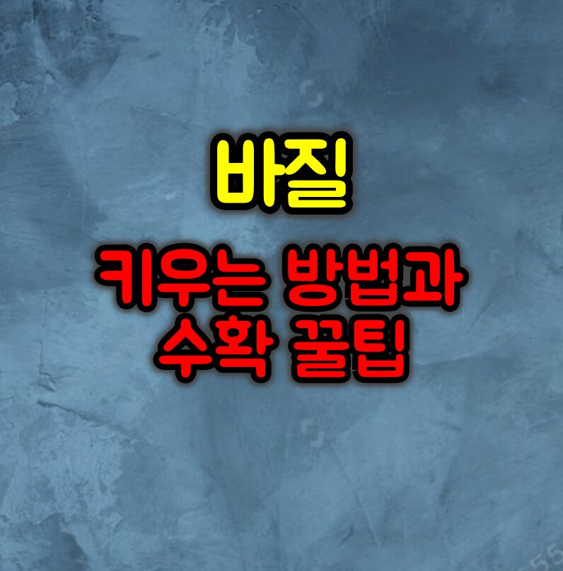 바질 키우는 방법 및 수확 꿀팁 및 요리 레시피