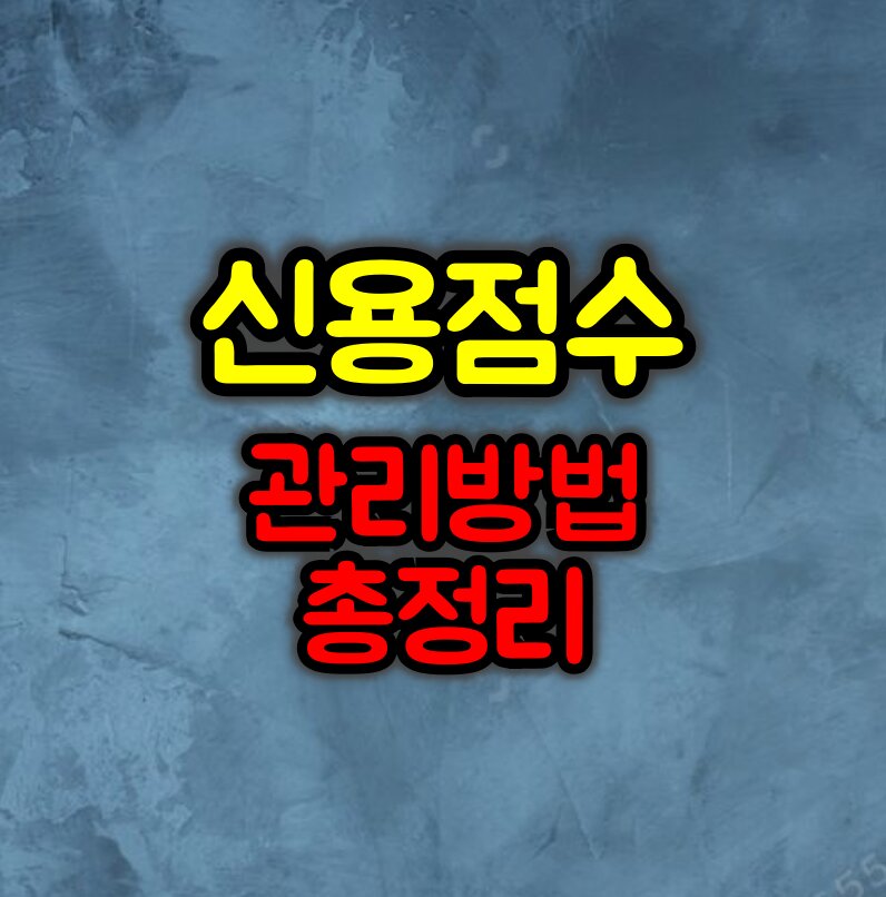 신용 점수 관리 방법 총정리 :: 신용 점수를 높이는 꿀팁