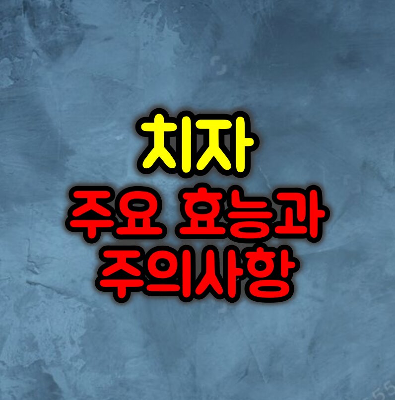 치자 주요 효능과 주의사항