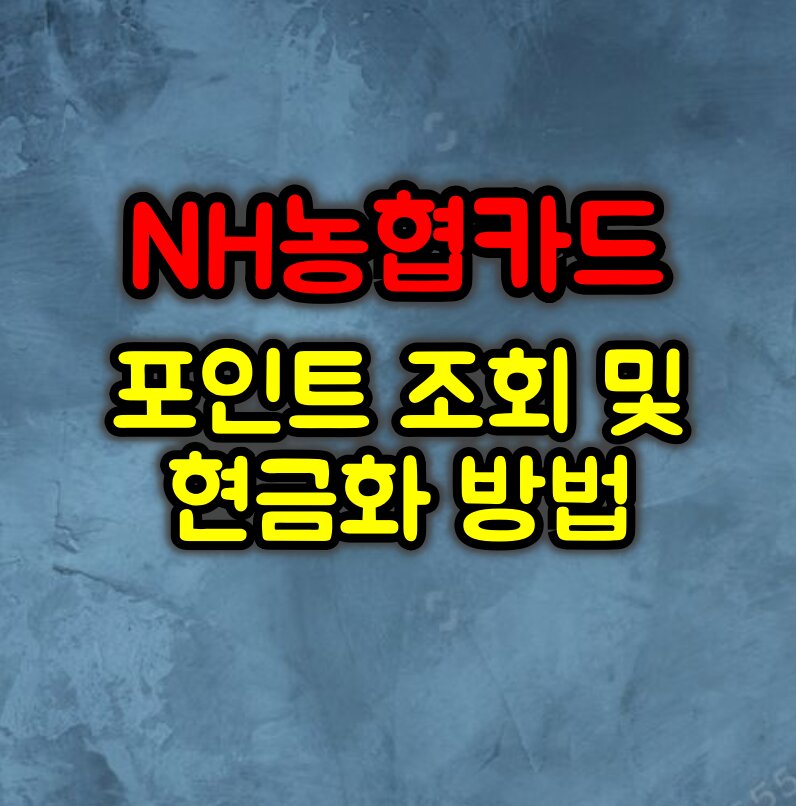 NH농협카드 포인트 조회 및 현금화 방법 총정리