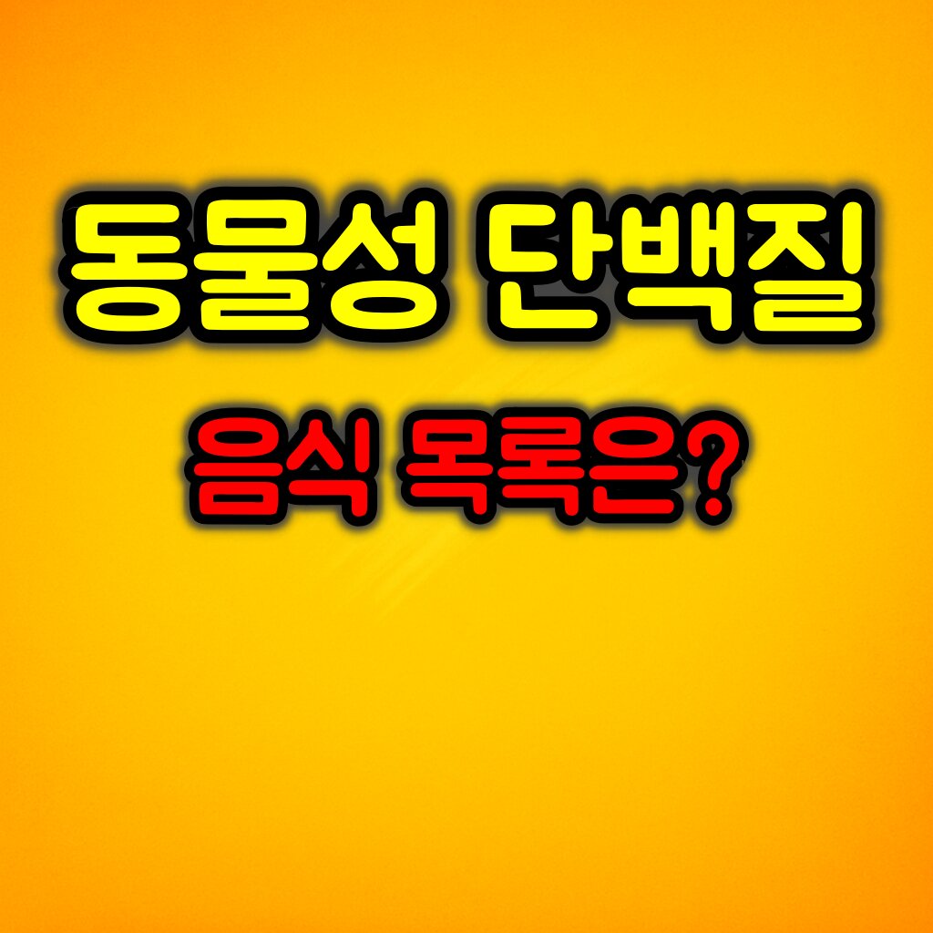 쉽게 구할 수 있는 동물성 단백질 음식 목록