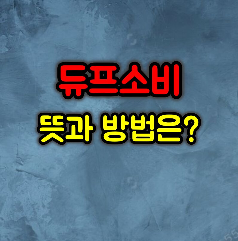 듀프 소비 뜻과 방법