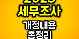 2025 세무조사 개정내용