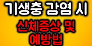 기생충 감염시 신체증상