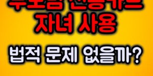 부모님 신용카드 자녀 사용 법적문제