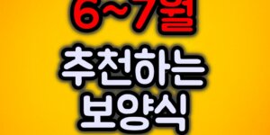 추천하는 보양식