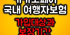 카카오페이 국내여행자보험
