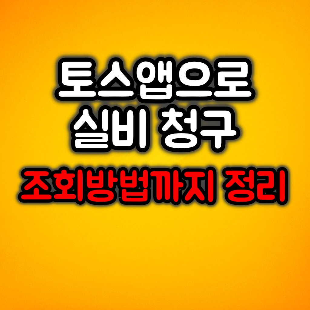 토스앱으로 보험금 청구 및 조회 방법 :: 오류 해결방법까지