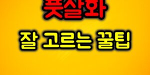 풋살화 잘 고르는 법