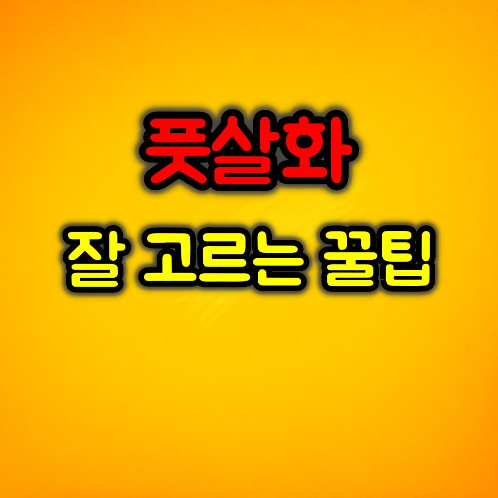 풋살화 고르는 방법 :: 경기력이 달라진다!