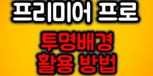 프리미어프로 투명배경 활용방법