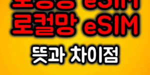eSIM 로밍망과 로컬망 차이점