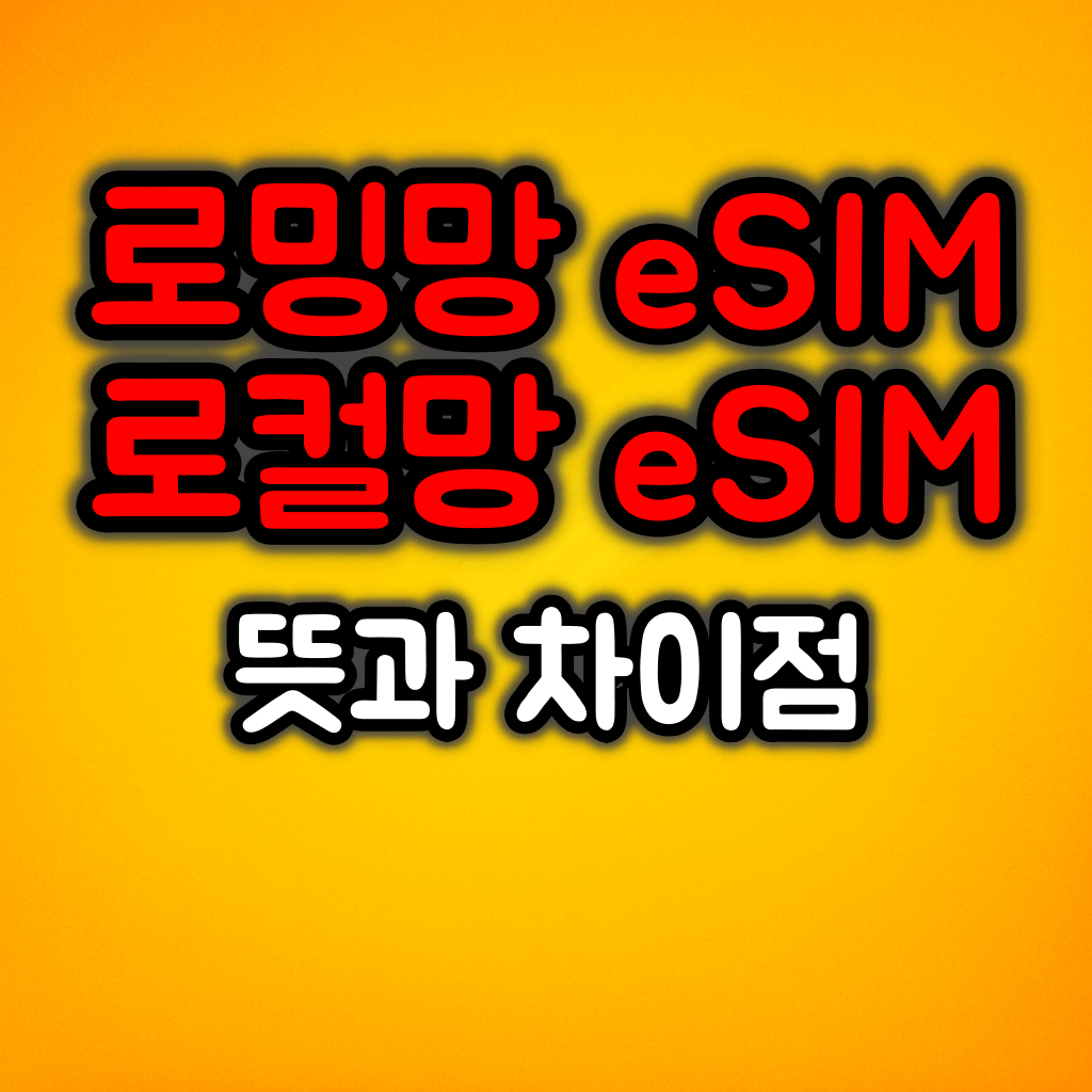 로밍망 eSIM / 로컬망 eSIM 뜻과 차이점