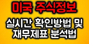 미국 주식정보