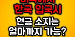 미국에서 한국 입국 현금소지