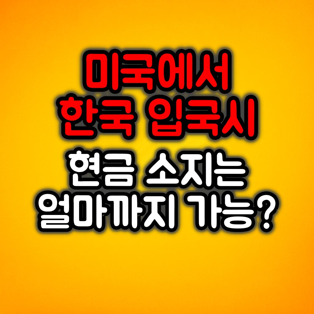 미국에서 한국 입국 시 현금관련 주의사항 :: 신고기준 및 절차