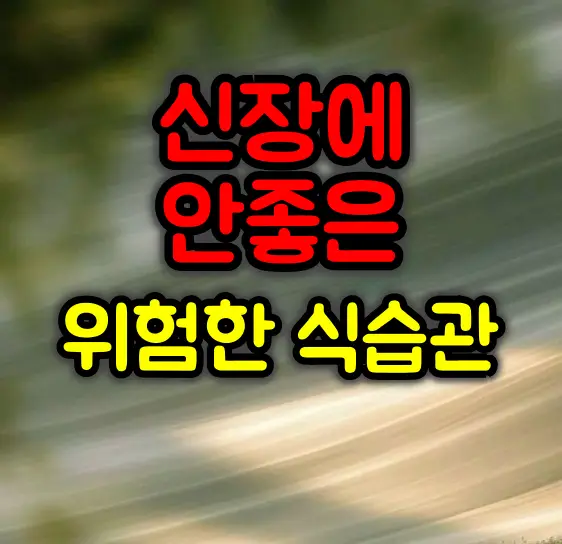 신장에 안좋은 위험한 식습관 :: 올바른 관리방법