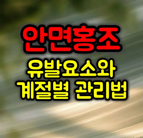 안면홍조 유발 요소와 계절별 맞춤 관리방법