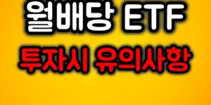 월배당 ETF 주의사항