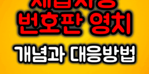체납차량 번호판 영치