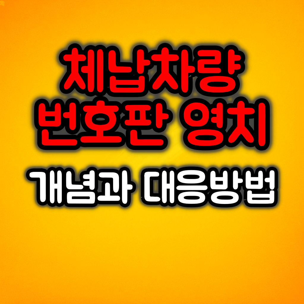 체납 차량 번호판 영치제도 개념과 영치방식 및 대응방법 / 예방법