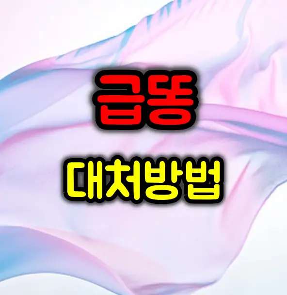 길에서 갑자기 화장실이 급할 때 대처방법 :: 급똥 해결방안