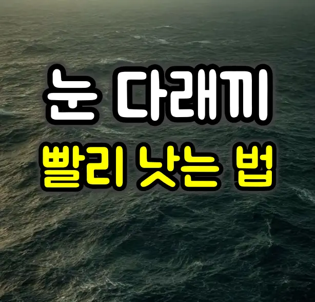 눈 다래끼 빨리 낫는 방법 :: 병원 가야 하는 경우는?