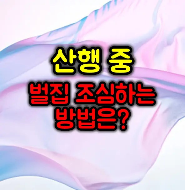 산행 중 벌집 구별하고 안전하게 피하는 방법