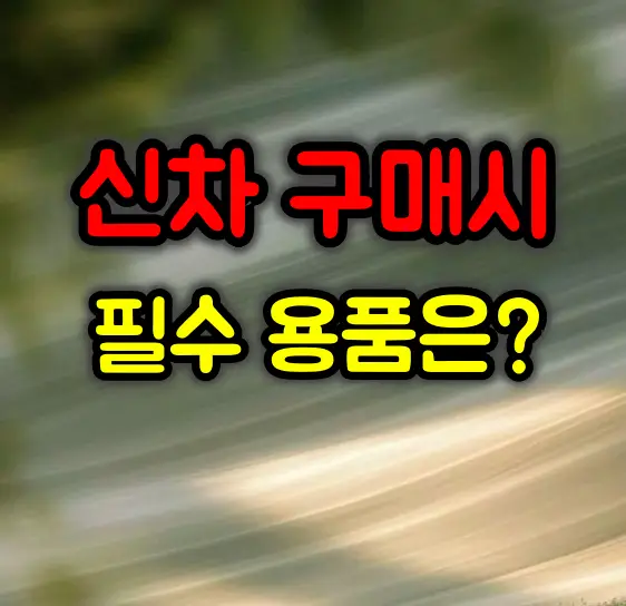신차 필수 용품 리스트 :: 구매 시 주의사항 및 꿀팁