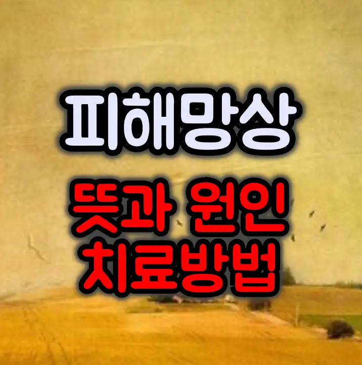 피해망상 뜻과 원인 :: 치료방법