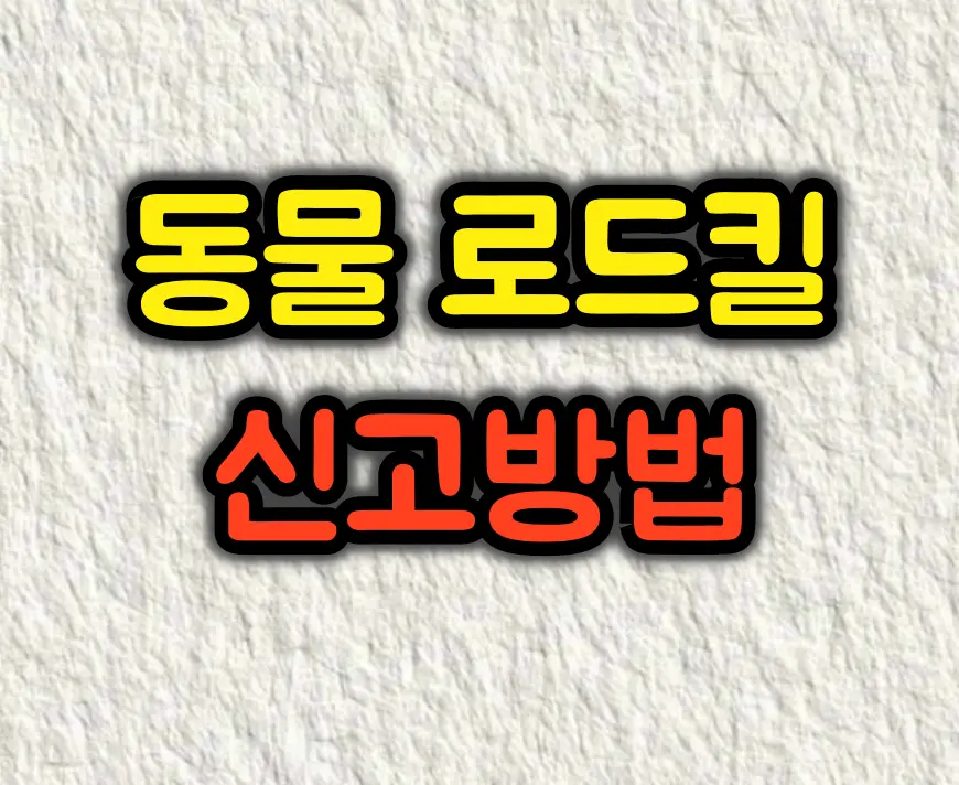 동물 로드킬 발견 시 신고방법