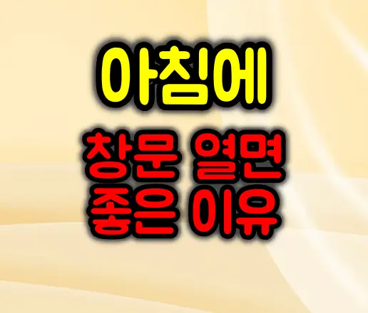 아침에 창문을 열면 좋은 이유는?