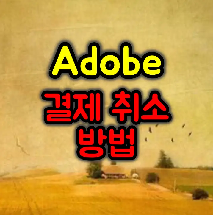 어도비 결제 취소 방법 및 환불관련 주의사항