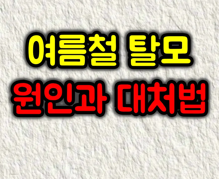 여름철 탈모가 더 심해지는 이유와 예방법