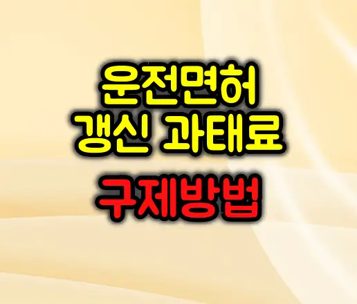 운전면허 갱신/적성검사 놓쳤을 때 과태료와 구제 팁