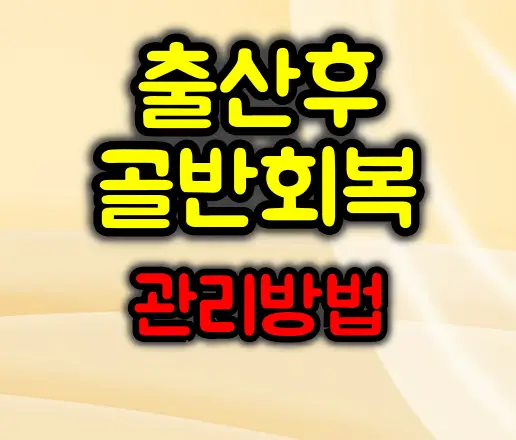 출산후 골반회복 운동 및 관리방법 :: 건강한 몸으로 돌아가는 길