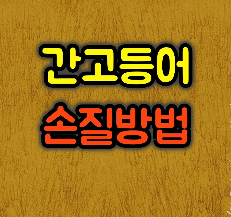 간 고등어 손질법 완벽가이드