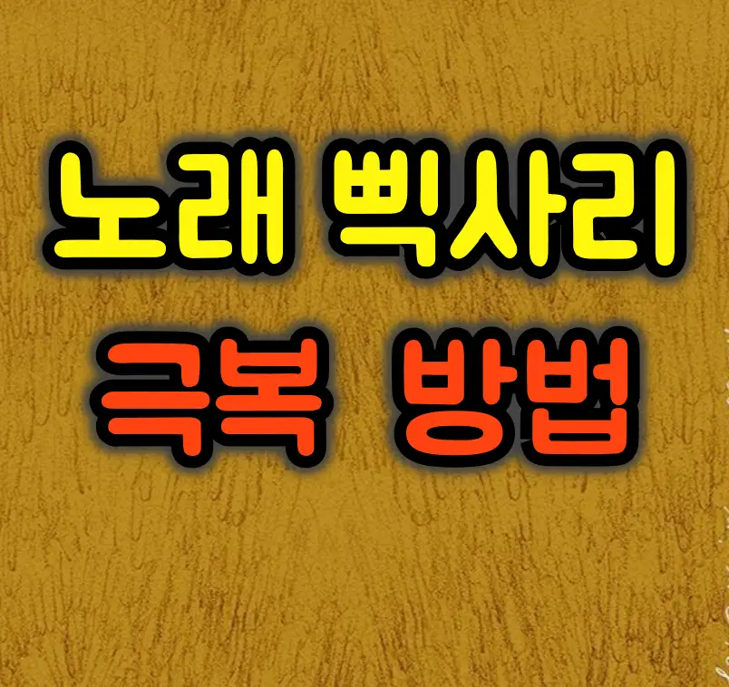 프로 보컬리스트가 알려주는 삑사리 완전 정복법