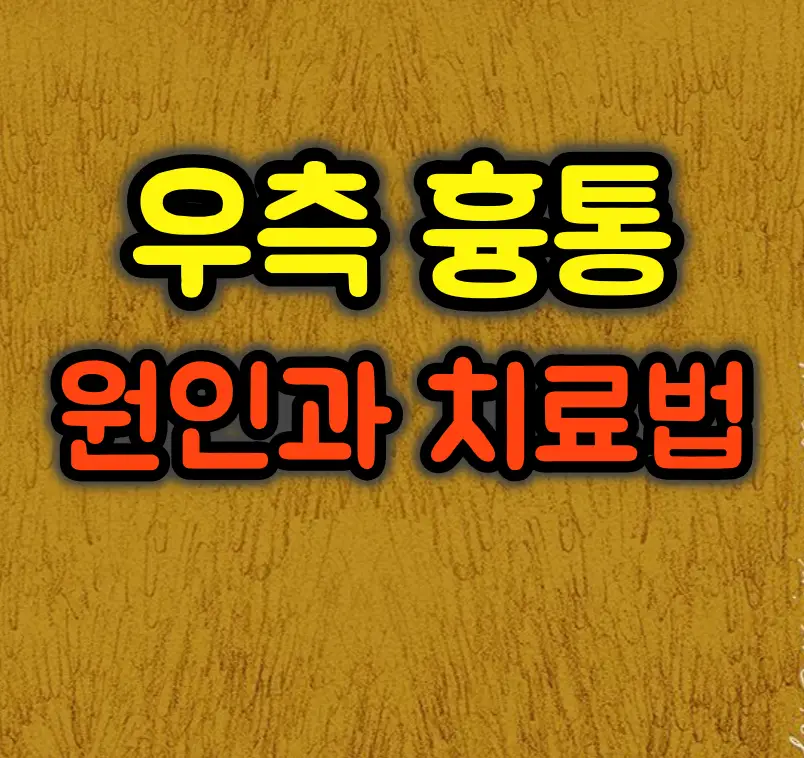 우측 가슴통증 완벽 가이드 :: 원인별 증상과 치료방법