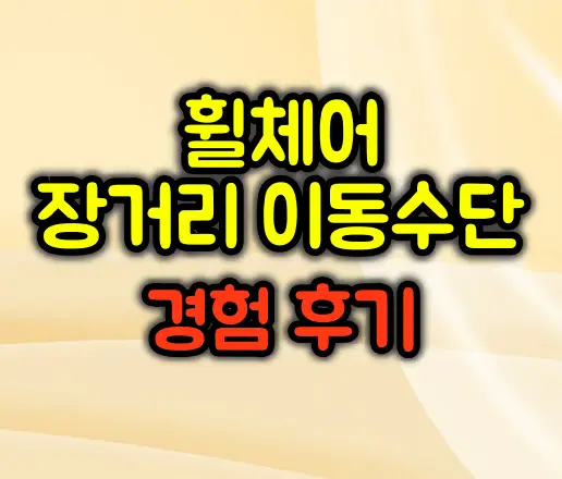 휠체어 장거리 이동수단 총정리: 기차, 콜택시, 렌터카의 현실적 차이