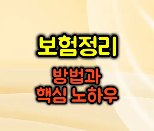 보험 정리 방법과 핵심 노하우