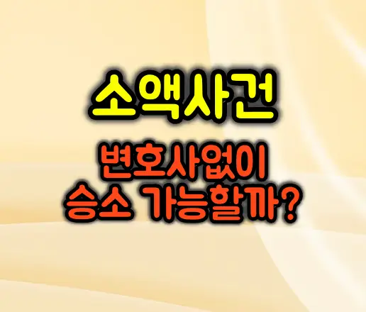 소액 사건, 변호사 없이 직접 소송할 수 있을까? 승소 전략 공개