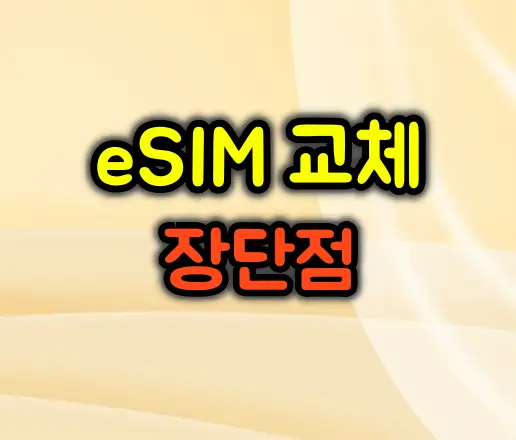 eSIM으로 요금제 바꾸는 게 더 편할까? 전문가가 알려주는 eSIM 교체 장단점
